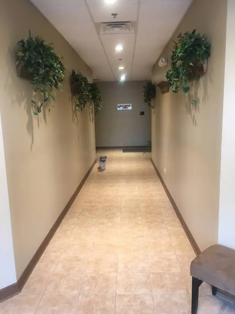 Lakeside Dental