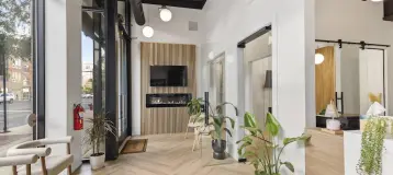 Bristle Dental Studio