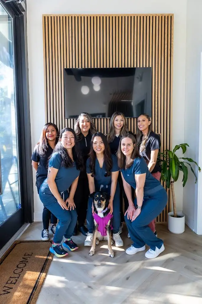 Bristle Dental Studio