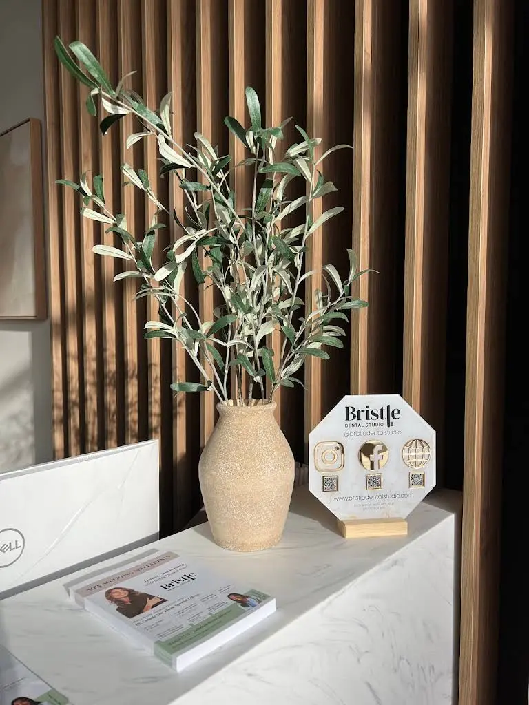 Bristle Dental Studio