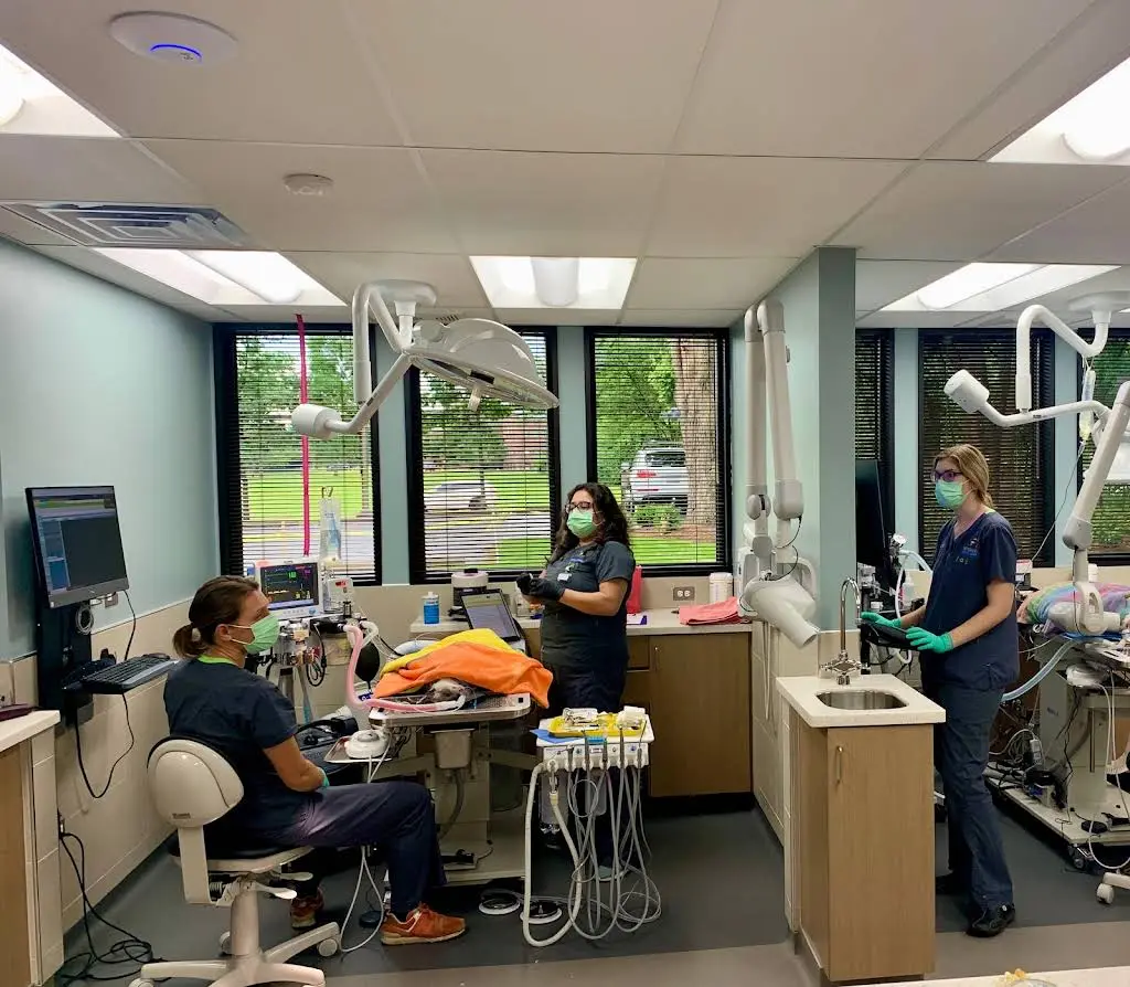 Veterinary Dental Center