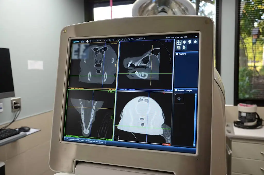 Veterinary Dental Center