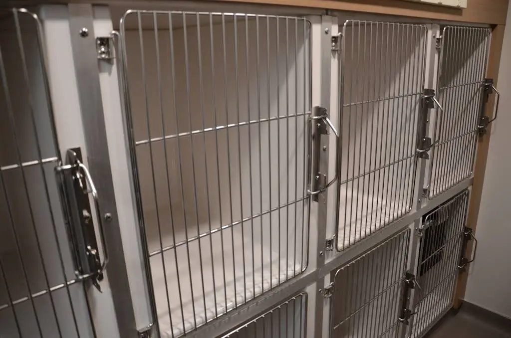 Veterinary Dental Center