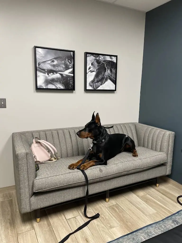 Veterinary Dental Center