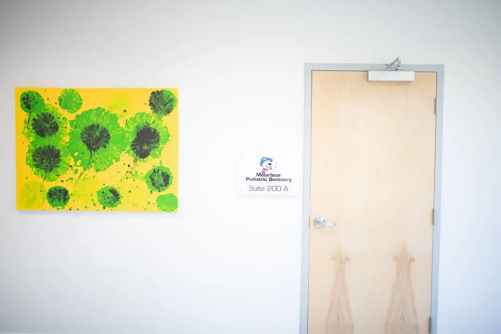 Molar Bear Pediatric Dentistry