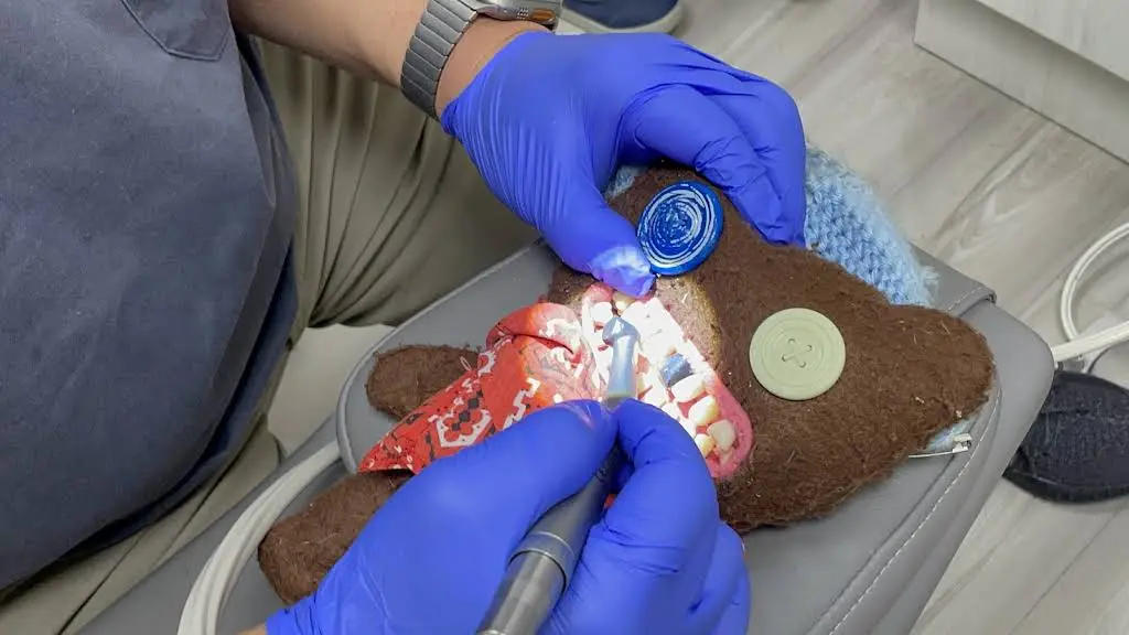 Blue Coral Pediatric Dentistry & Orthodontics