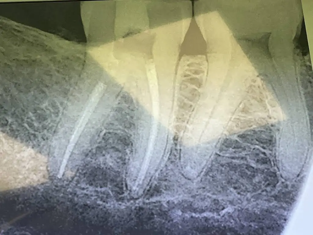 Familia Dental