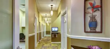 Violet Creek Family Dentistry