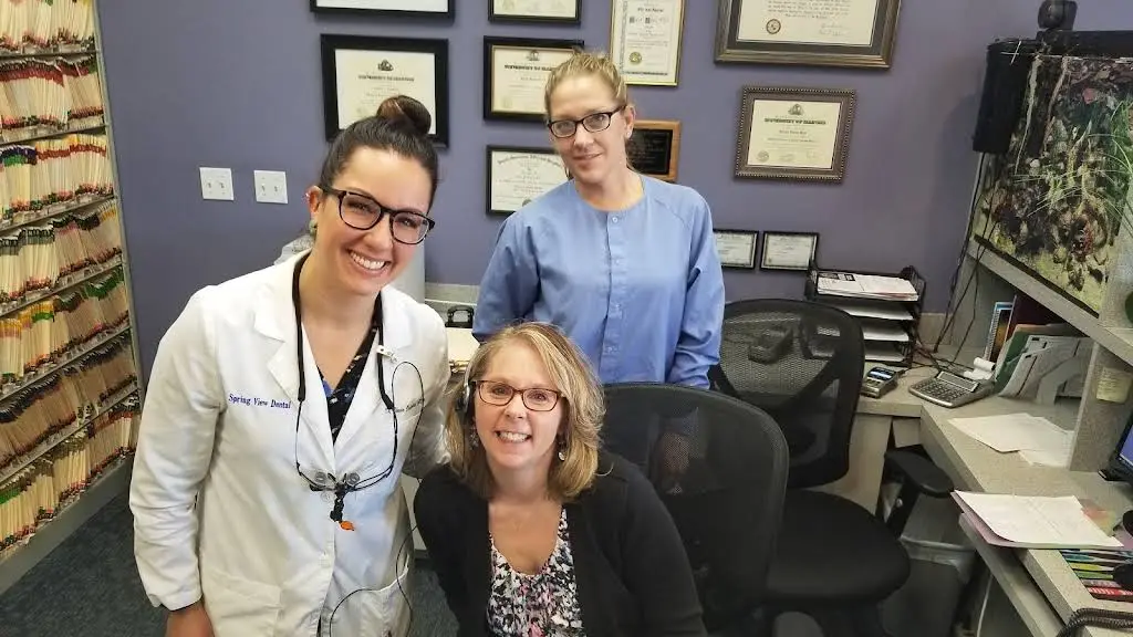 Spring View Dental