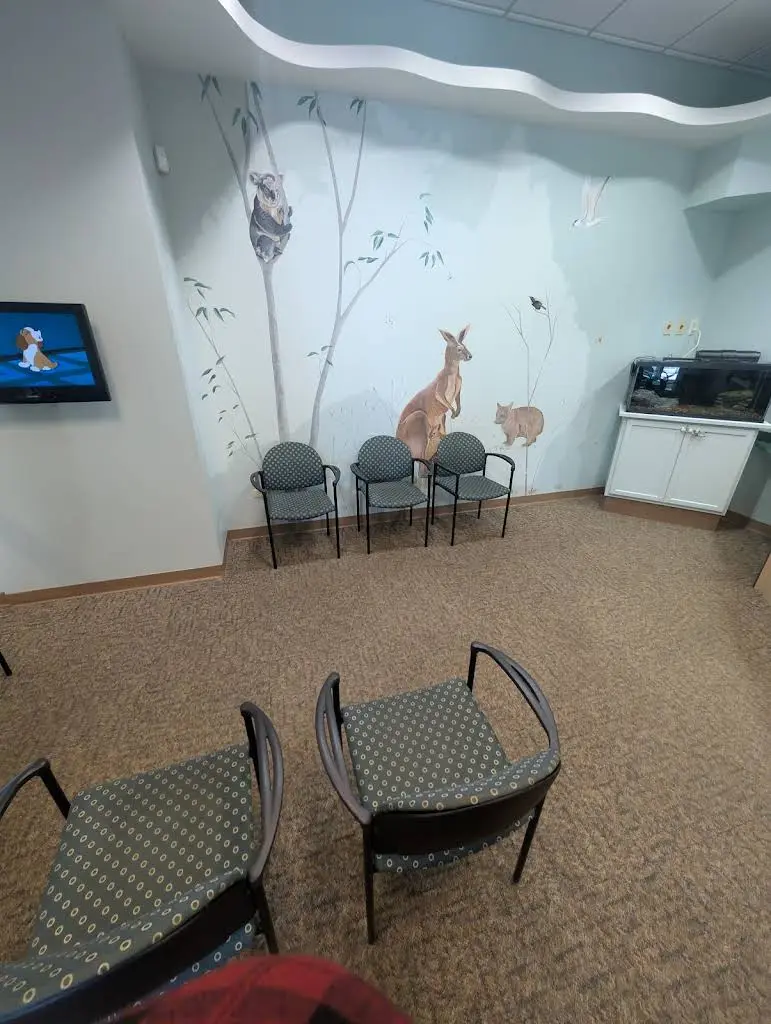 Plainfield Pediatric Dentistry