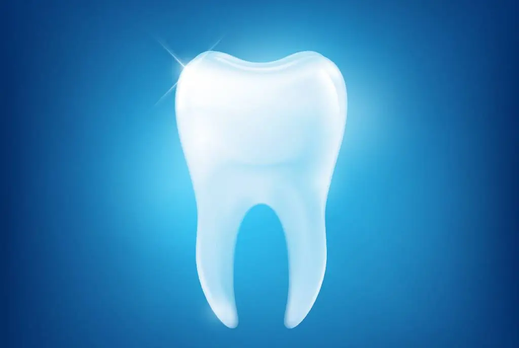 Lakeshore Dental Associates