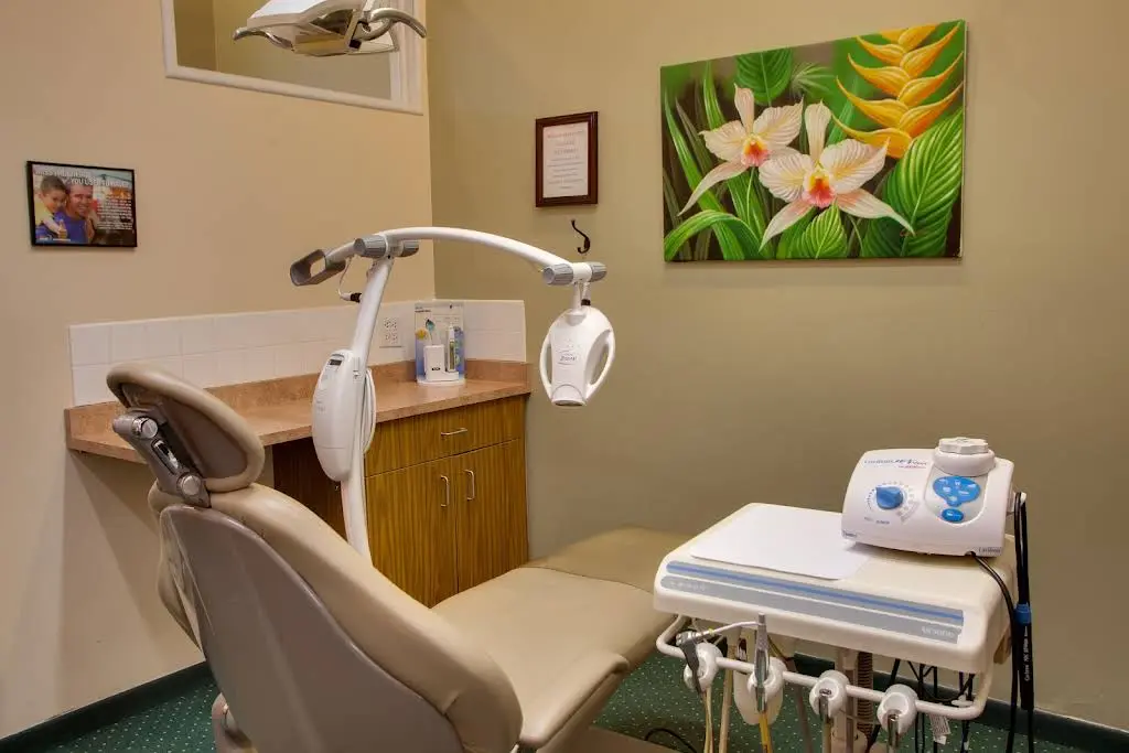 Webster Dental Care