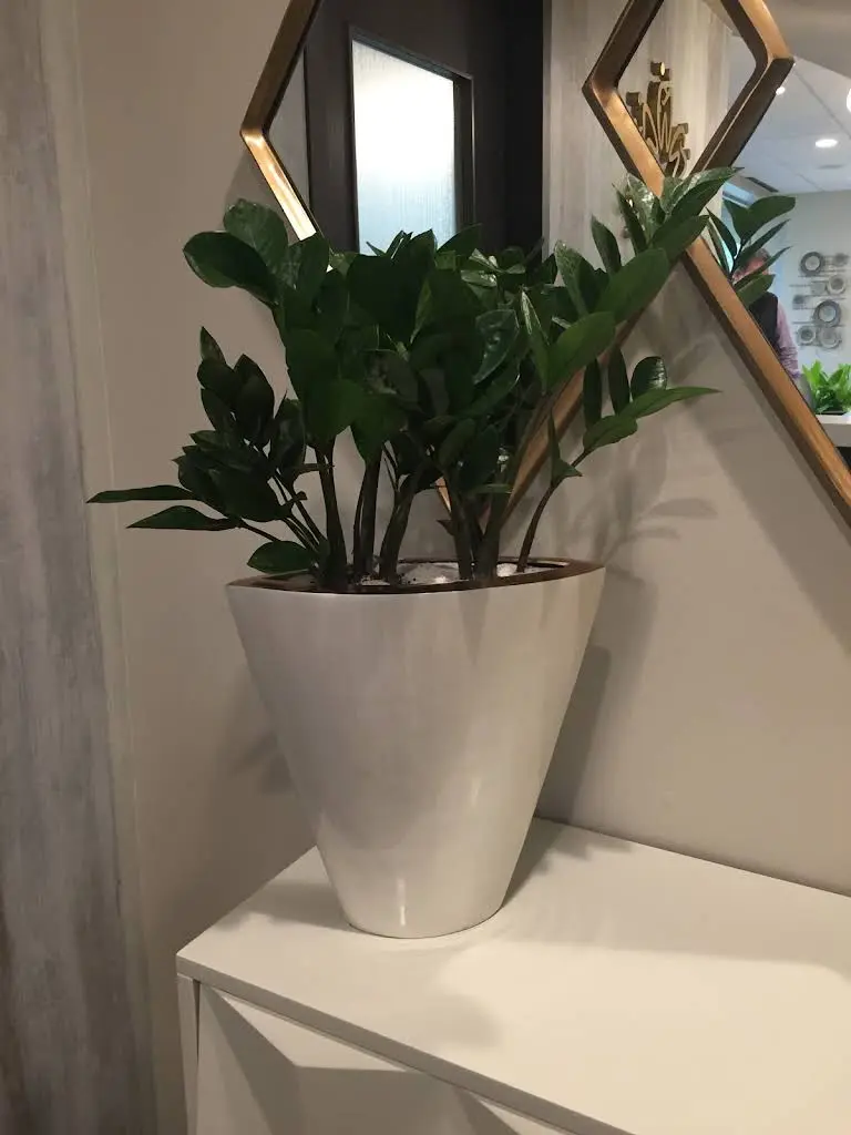 Wilmette Family Dental