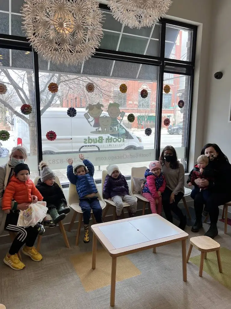 Tooth Buds Pediatric Dentistry