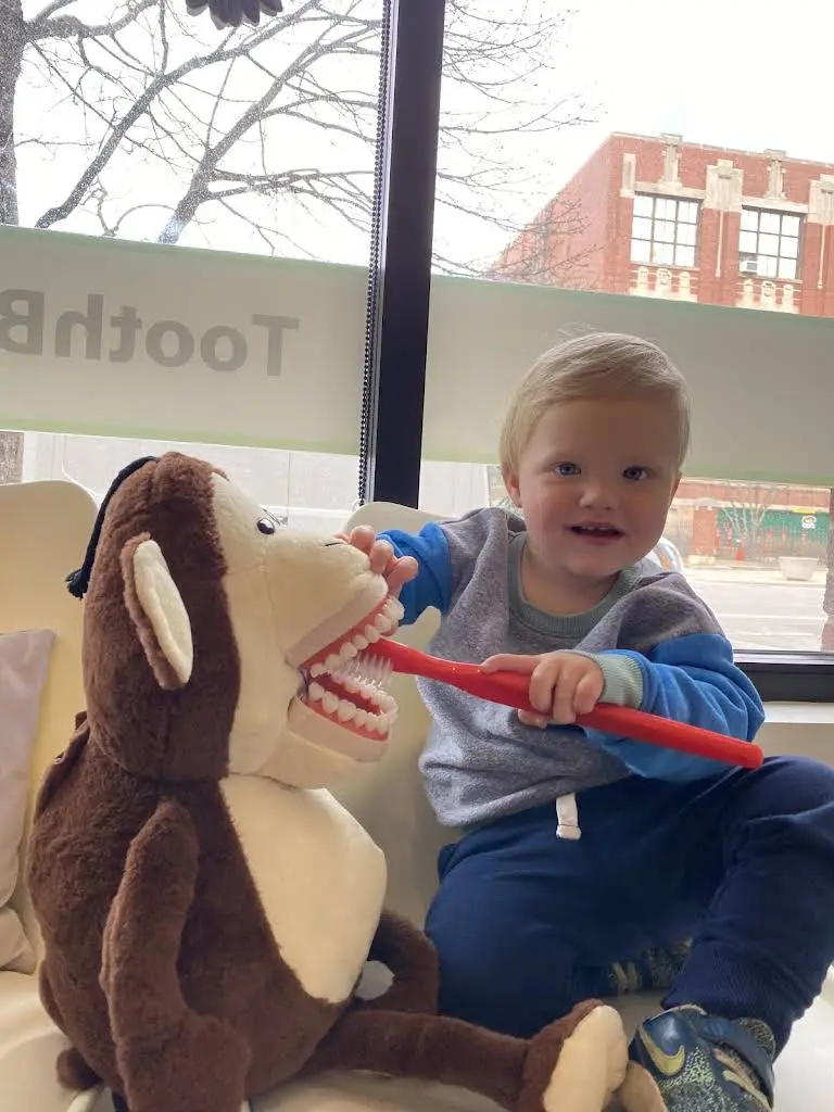 Tooth Buds Pediatric Dentistry