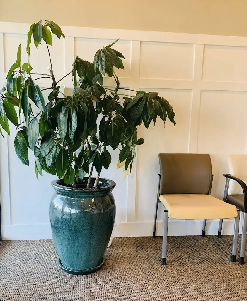 Utah Oral Surgeons