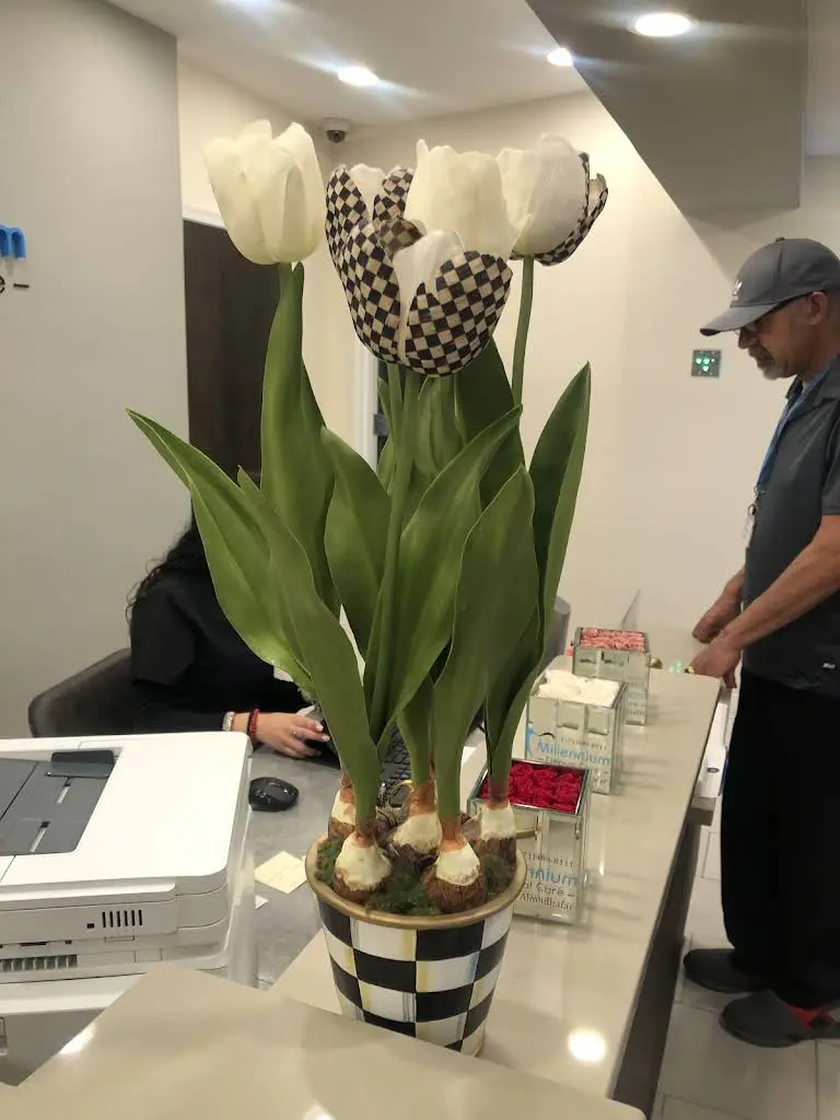 Millennium Dental Care