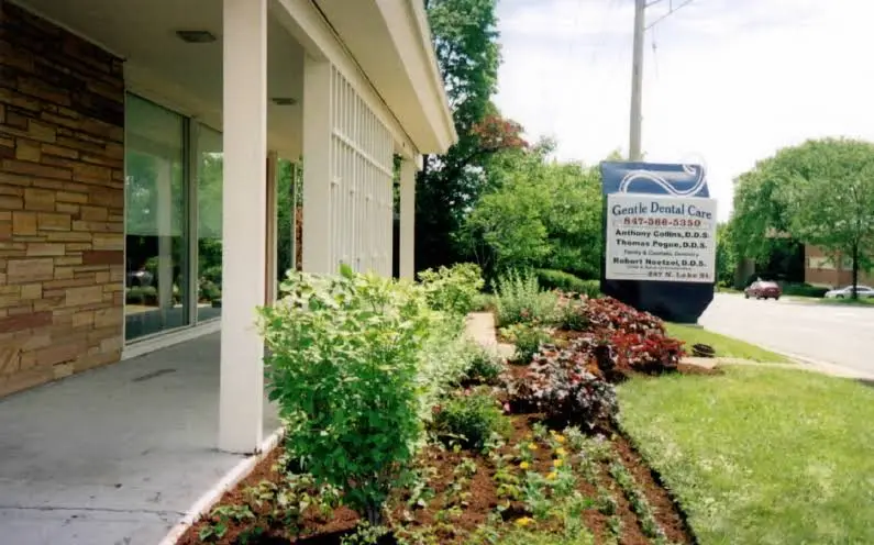 Gentle Dental Care, Anthony J. Collins DDS