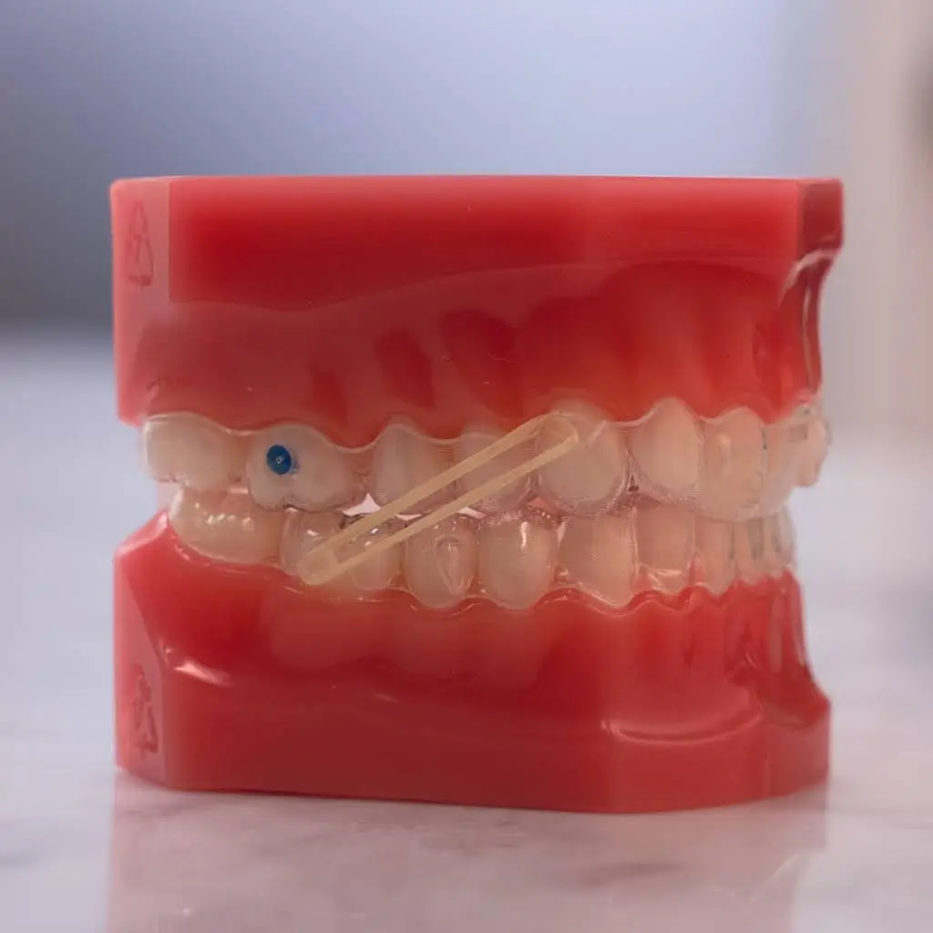 Smile Society Orthodontics
