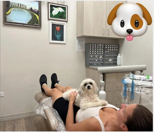 DentalQ - Lincoln Shine Dental