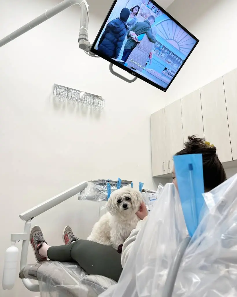 DentalQ - Lincoln Shine Dental