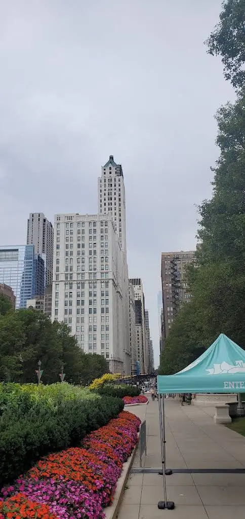 Chicago Smiles
