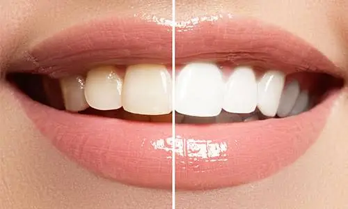 River North Dental Group