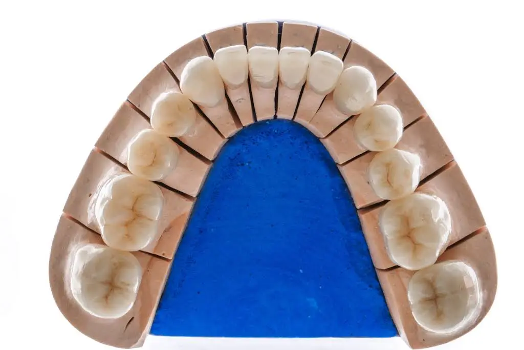 University Associates in Dentistry