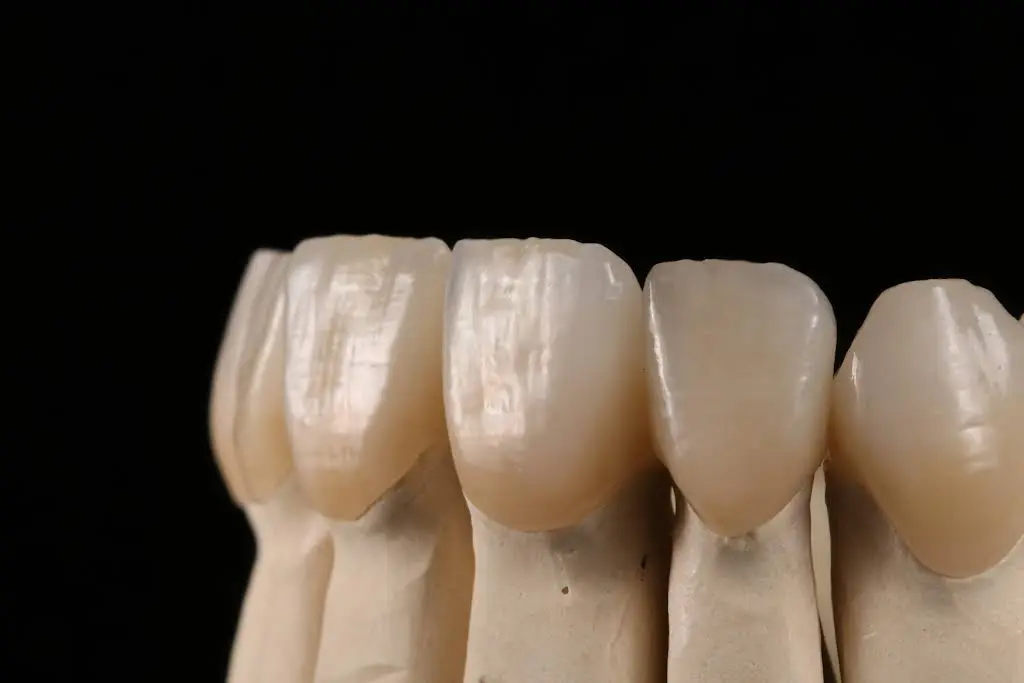 University Associates in Dentistry