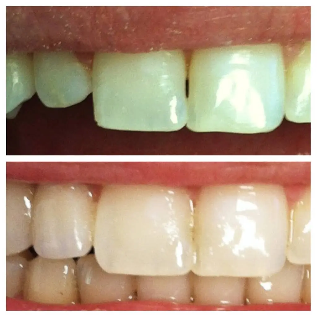 Alan Robbins DDS