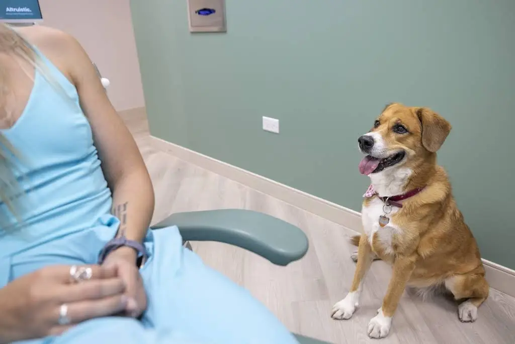 First Dental Center