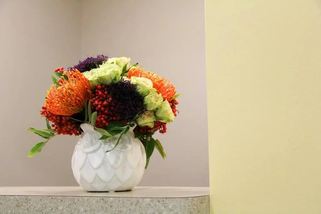 Palos Pediatric Dentistry: Richard Facko, DDS, MS