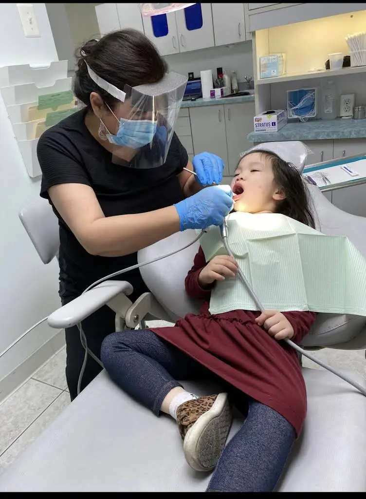 Rezvani Nader DDS