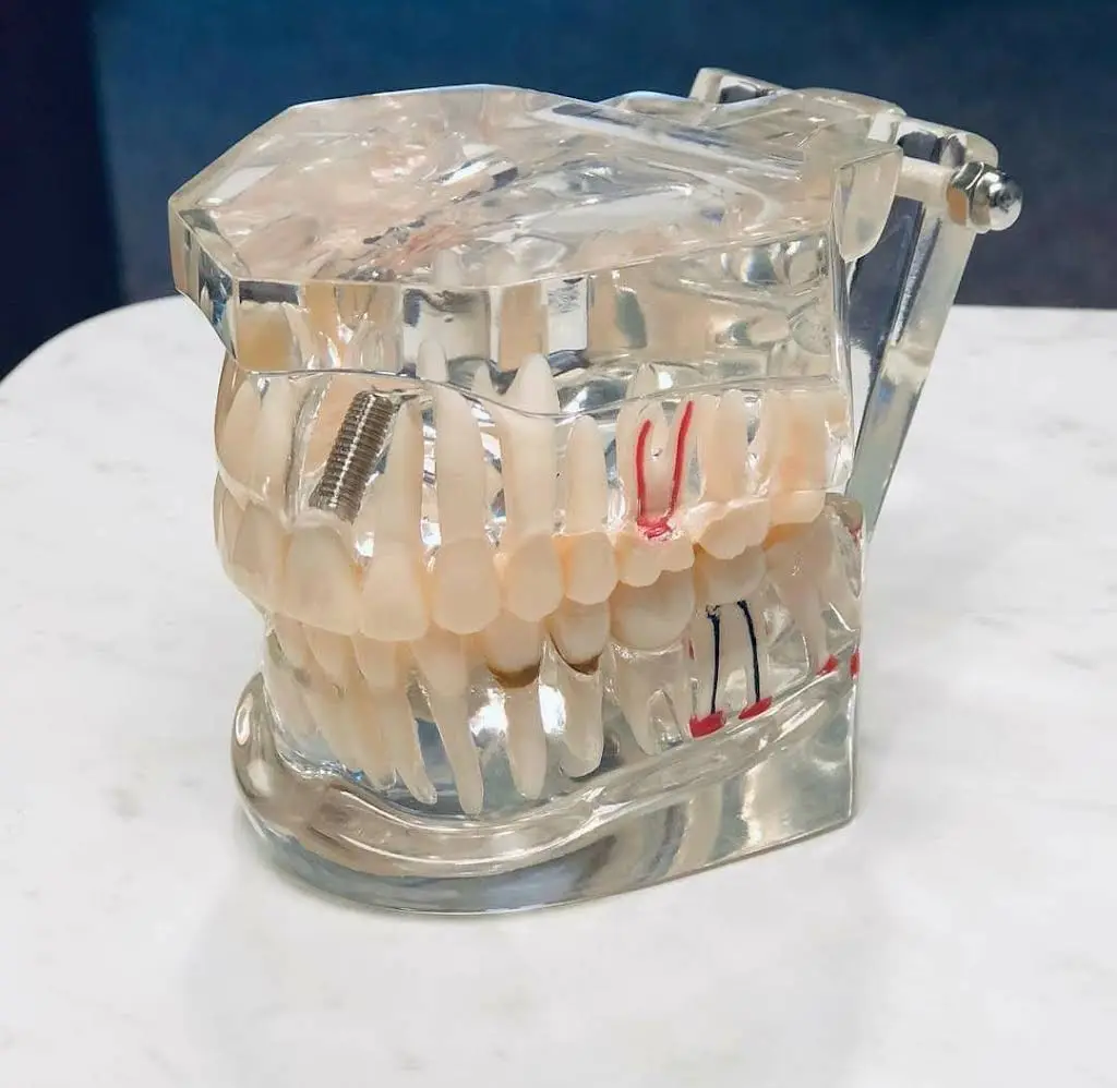 Vernon Dental Care