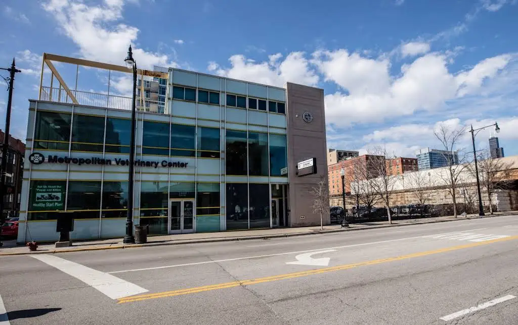 Dental Group of Chicago