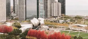 Dentistry at Millennium Park: Nanditha Ranganathan DDS