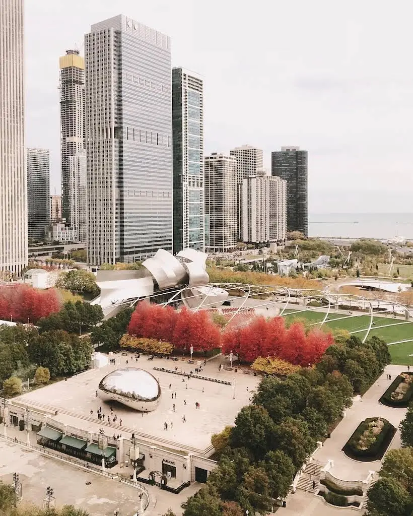 Dentistry at Millennium Park: Nanditha Ranganathan DDS