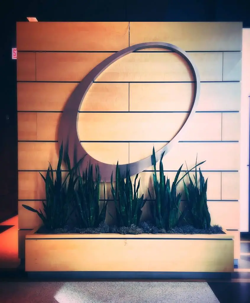 Allure Dental Chicago