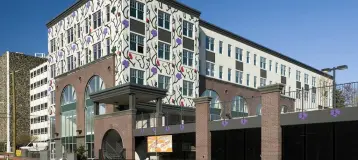 Purple Plum Dentistry & Aesthetics
