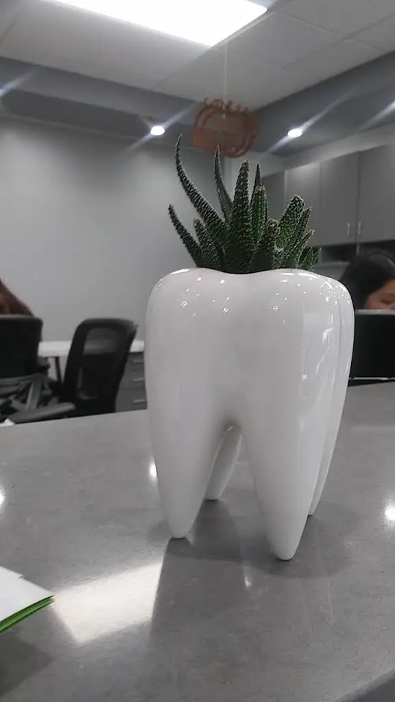 The McHenry Dentist