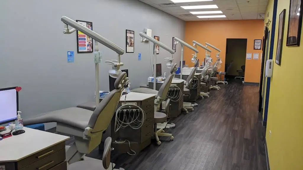 Orthodontic Experts