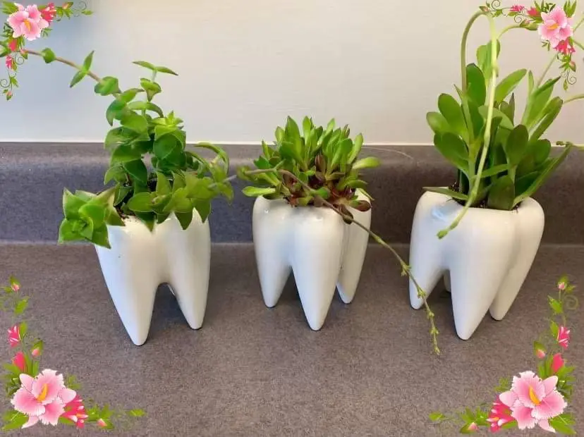 Martin Family and Cosmetic Dentistry