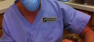 Northbrook Court Dental Associates, P.C.
