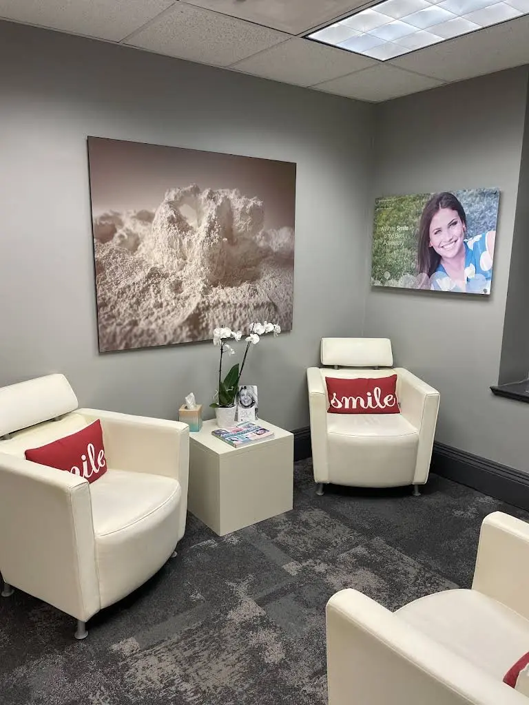 Smile 312 Chicago's Premier Dentist