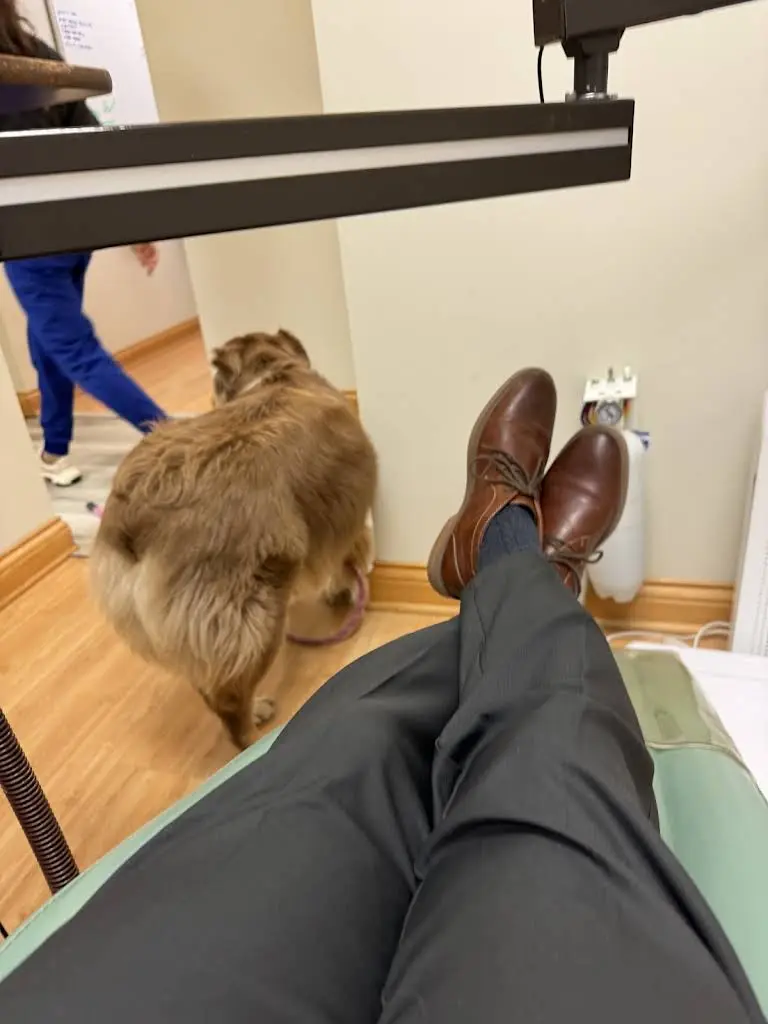 Crystal Cove Family Dental