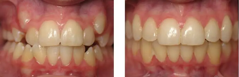 Wirtz Orthodontics