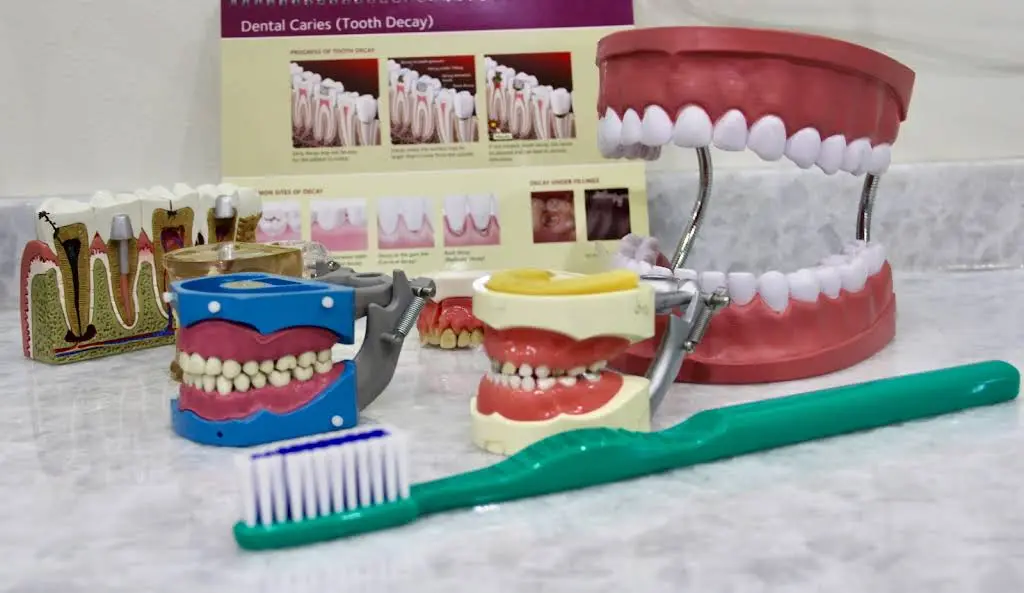 Fresh Smiles Dental