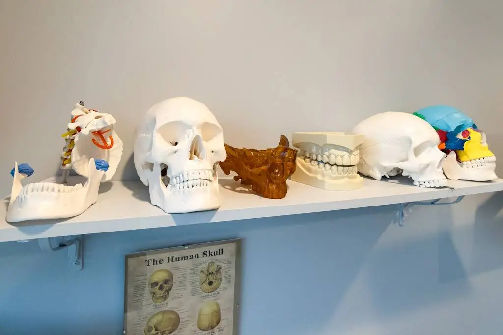 Sleep & TMJ Therapy