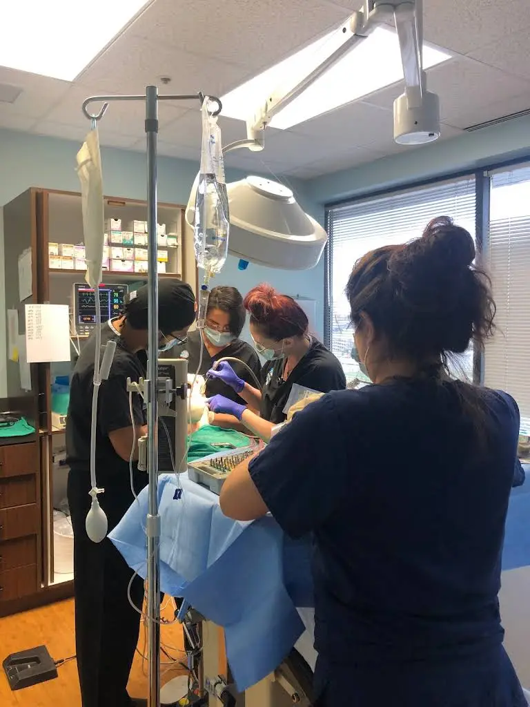 Fairfax Dental Group