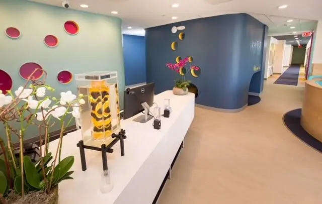 Alexandria Children's Dentistry